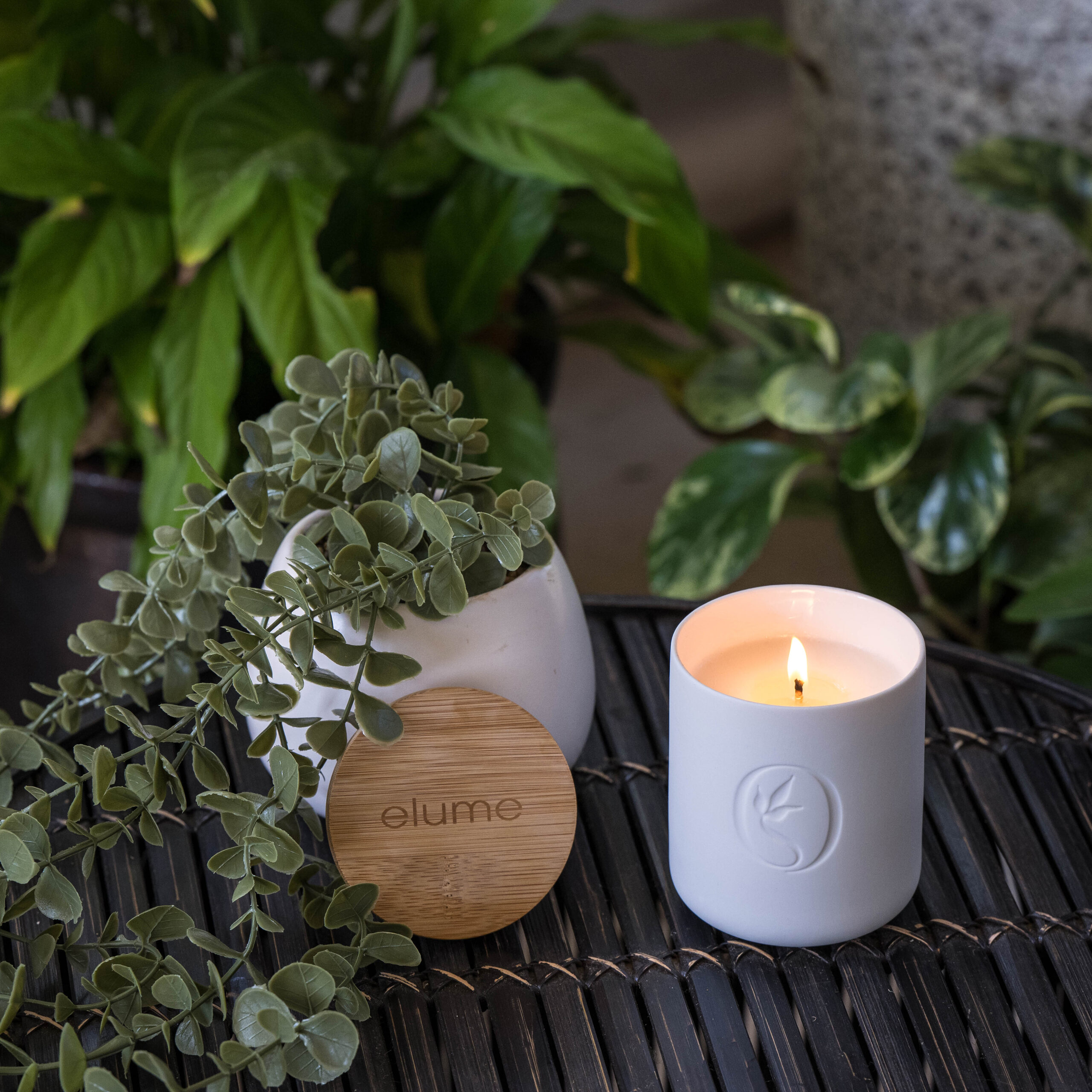 Citronella Soy Candle - Image 3