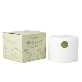 Citronella 6" x 5"